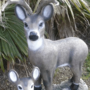 Standing Buck SM